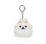 [TXT] PPULBATU Mini Plush Face Keyring (Fan-made)