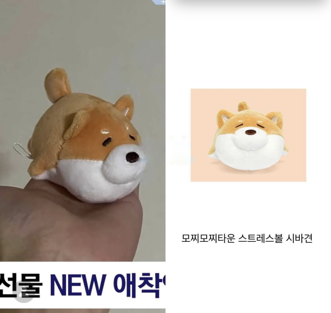 Corgi sales stress ball